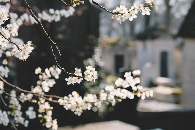 "Funeral loans: Jacaranda Finance is here for you"