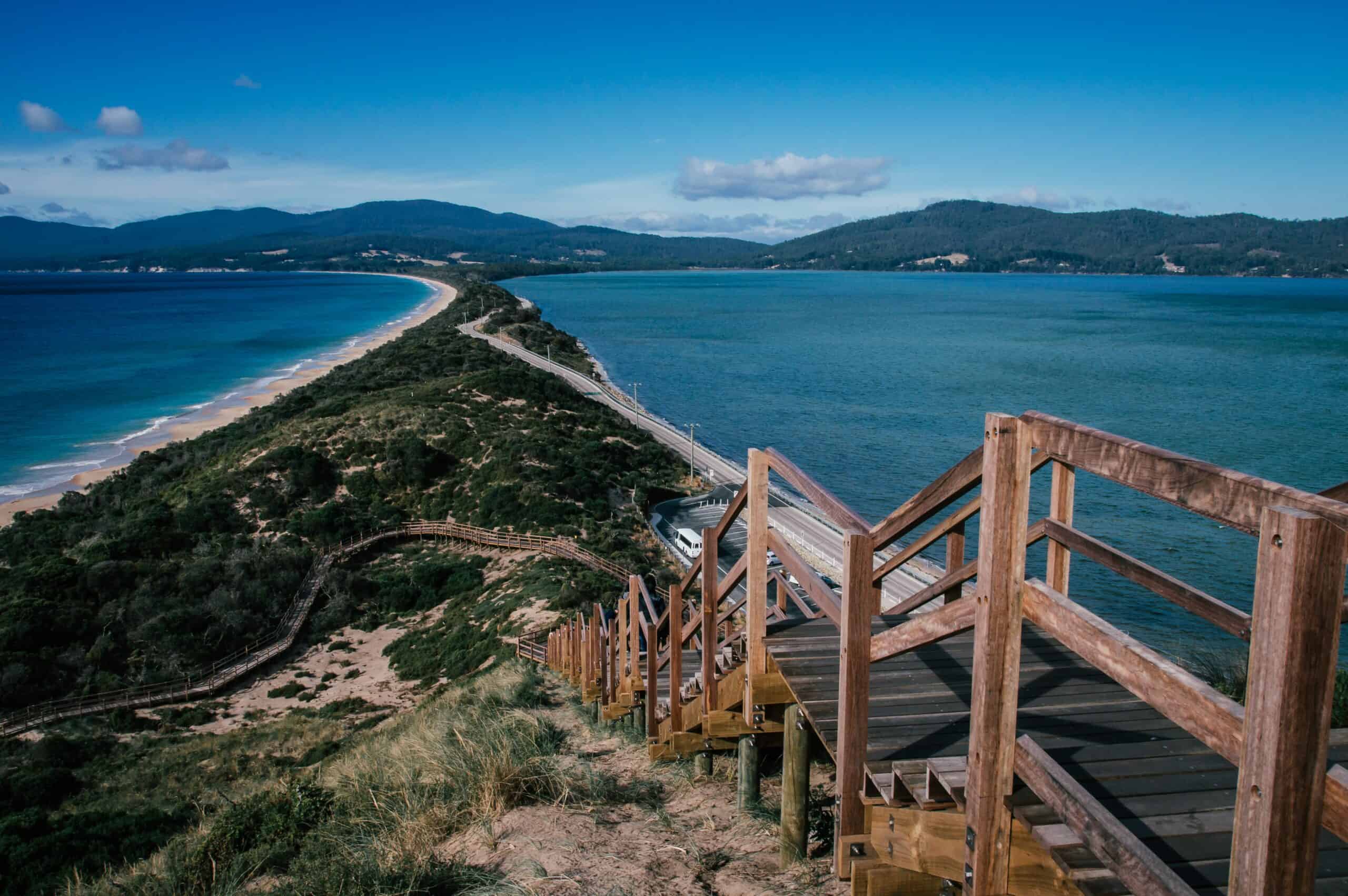 tassie