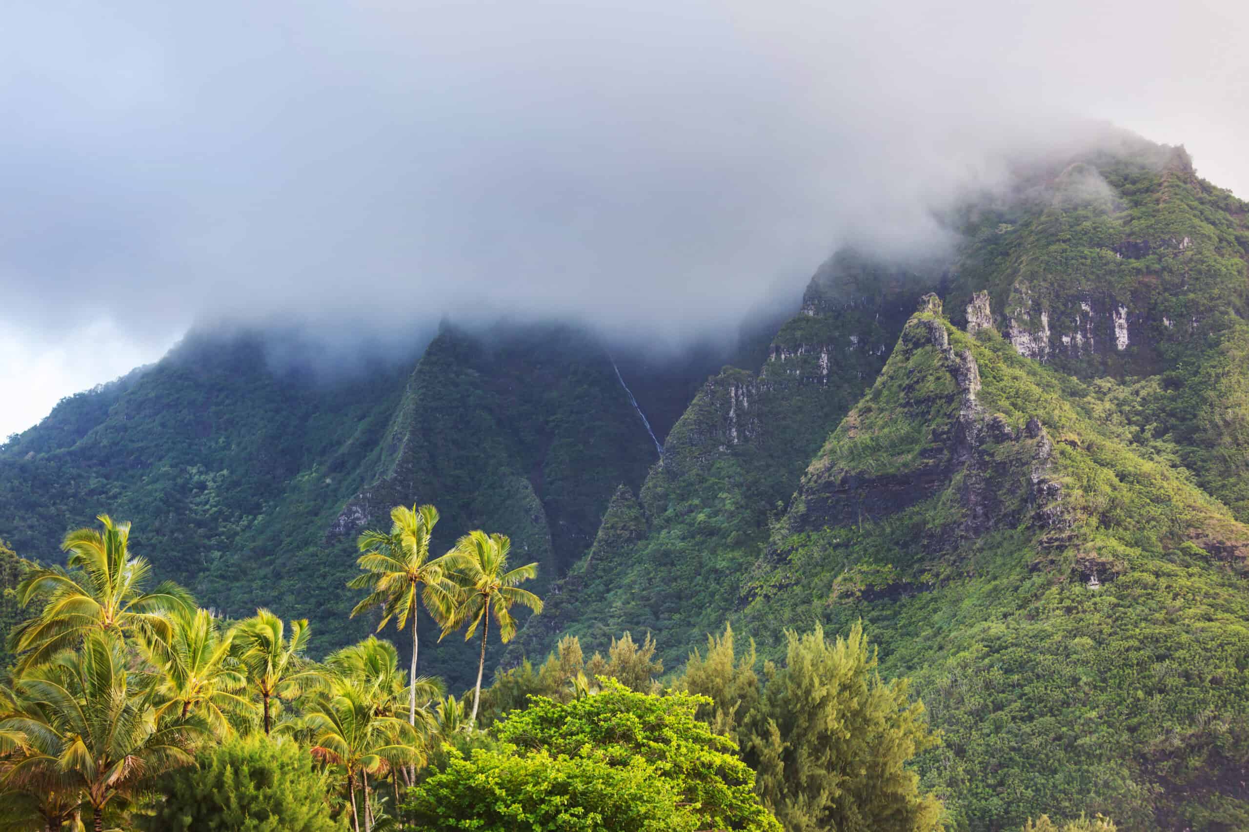 Picturesque view of Hawaii island