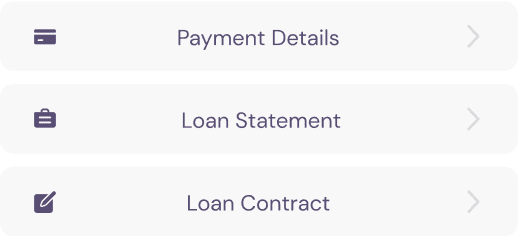 loan based details