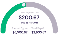 total repayment information